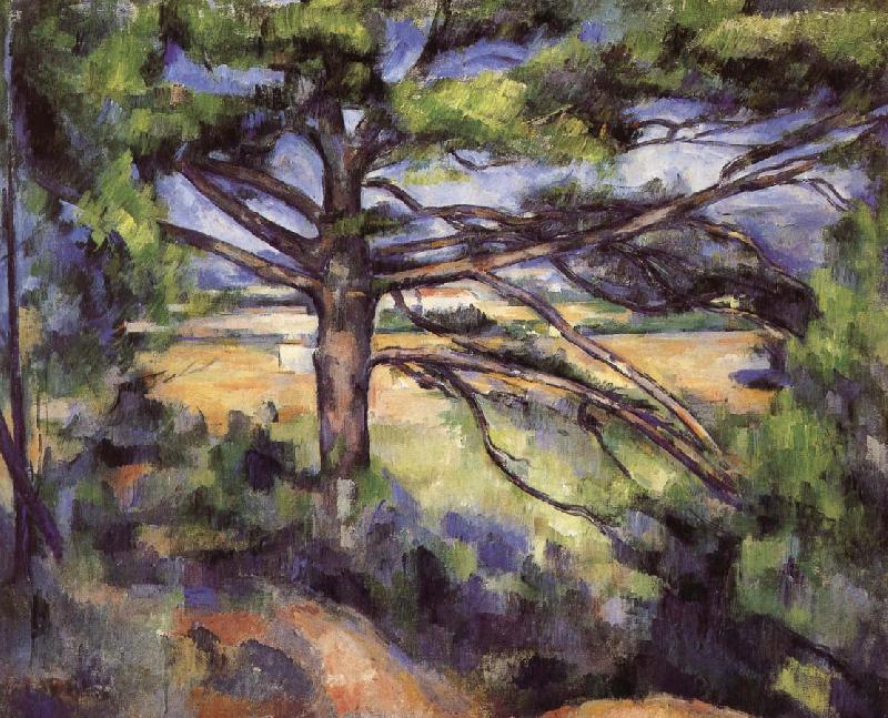 Paul Cezanne pine